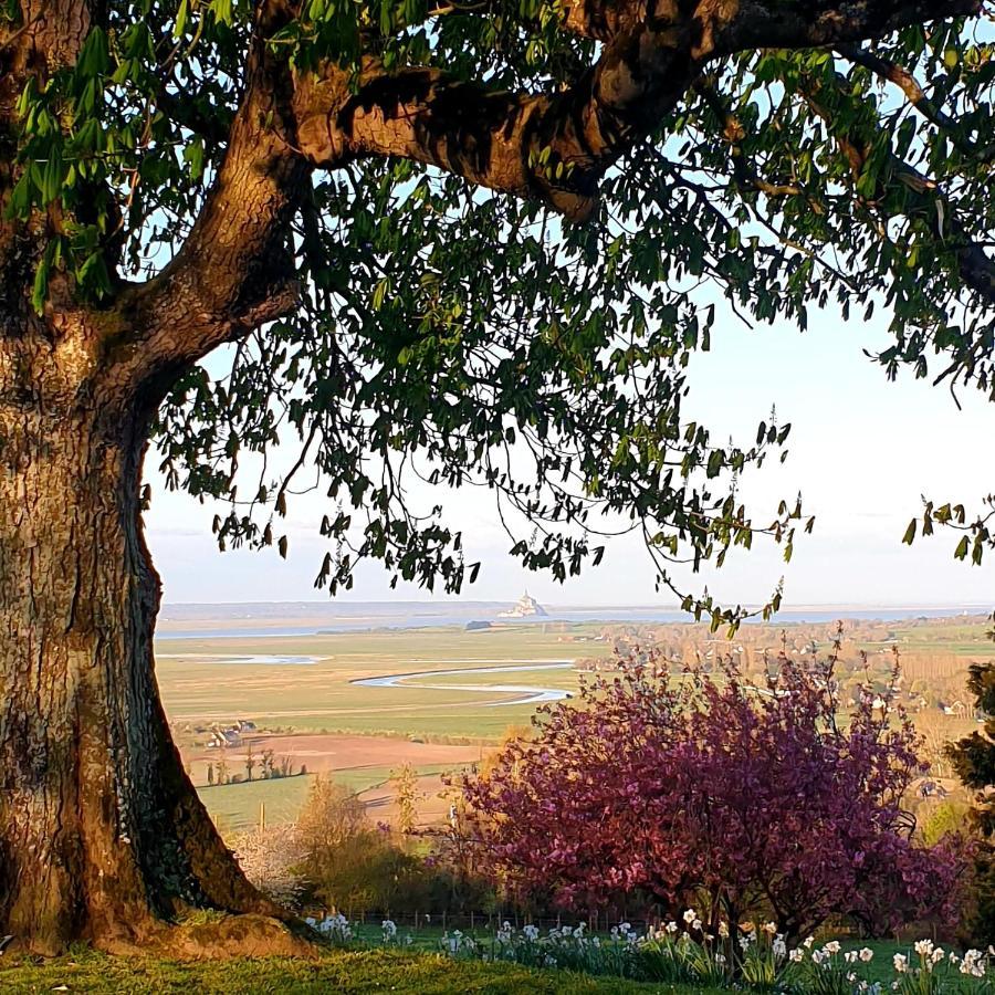 L'Abrincat'Studio, Centre Entre Donjon Et Vue Mont Avranches Eksteriør bilde